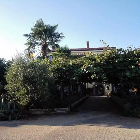 App Carla Apartment Novigrad Istria Exterior foto