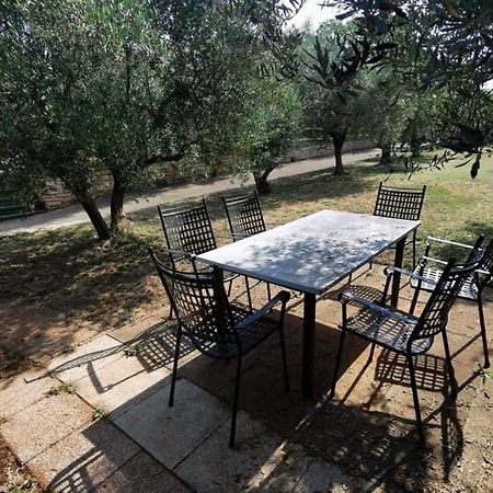 App Carla Apartment Novigrad Istria Exterior foto