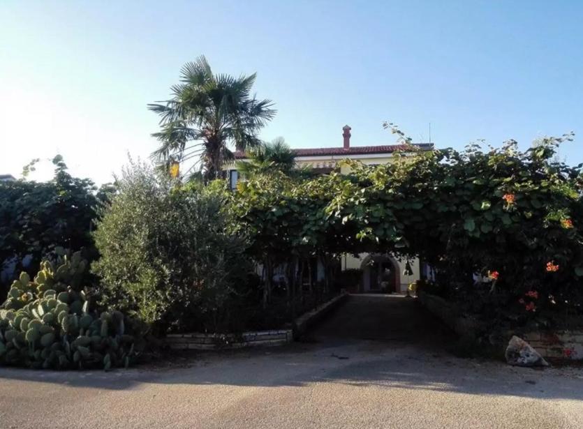 App Carla Apartment Novigrad Istria Exterior foto