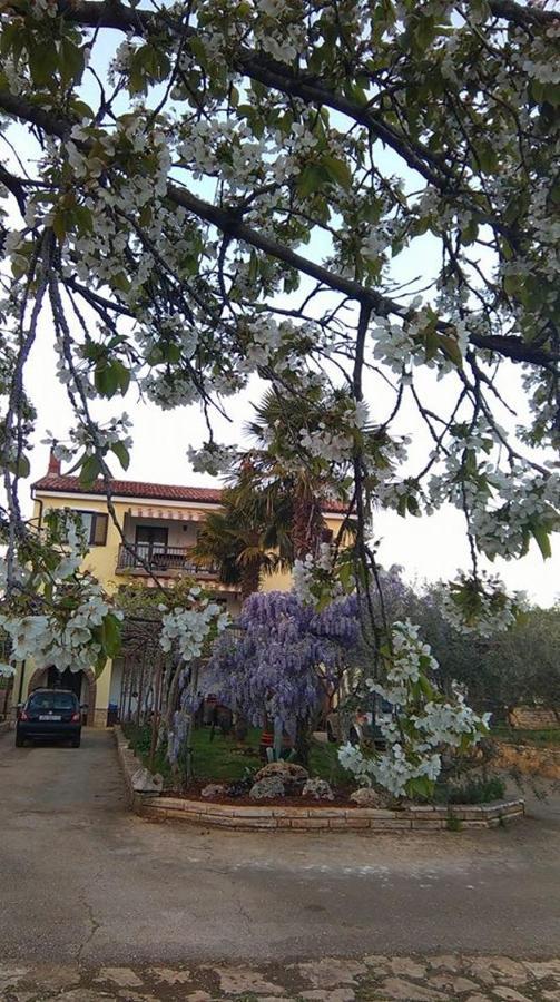 App Carla Apartment Novigrad Istria Exterior foto