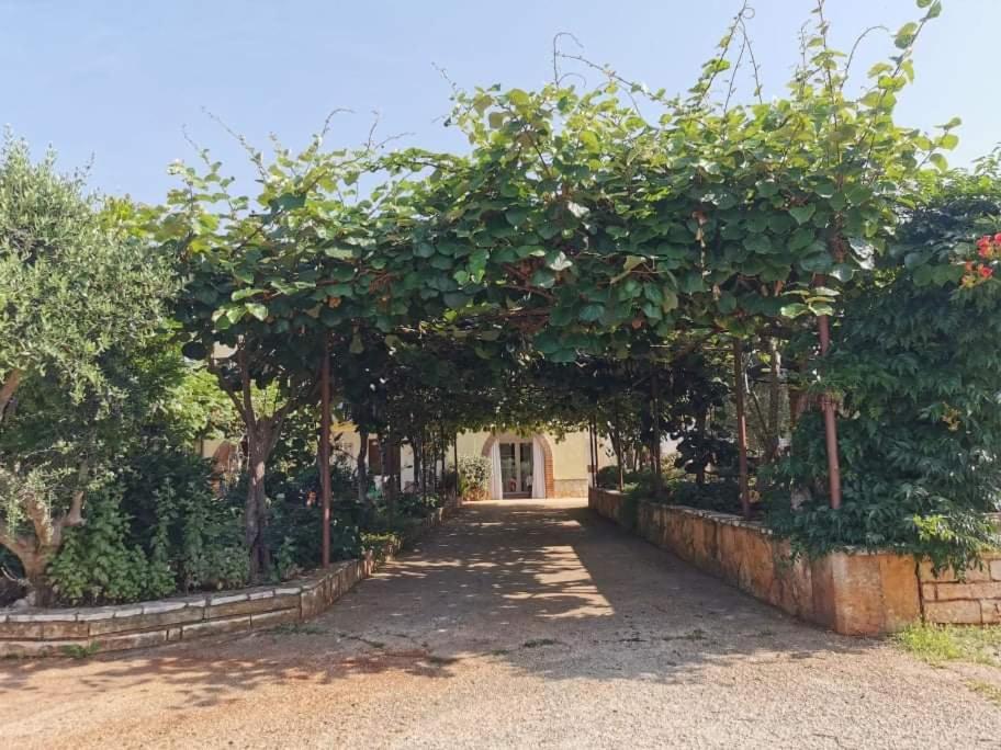 App Carla Apartment Novigrad Istria Exterior foto